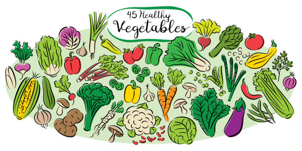 野菜のコレクション - vegetable beet doodle food点のイラスト素材／クリップアート素材／マンガ素材／アイコン素材