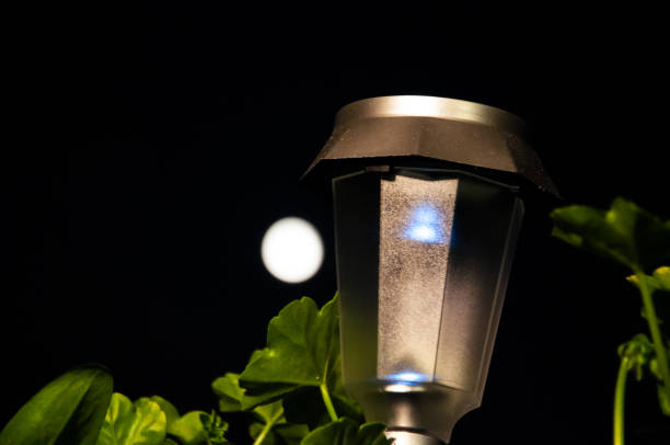 istock The lamp in the moon 936300752