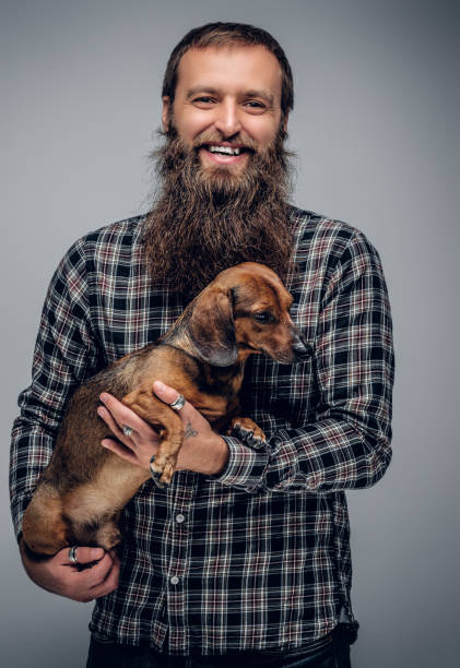 istock Bearded male dressed in a plaid shirt holds  badger dog. 936302298