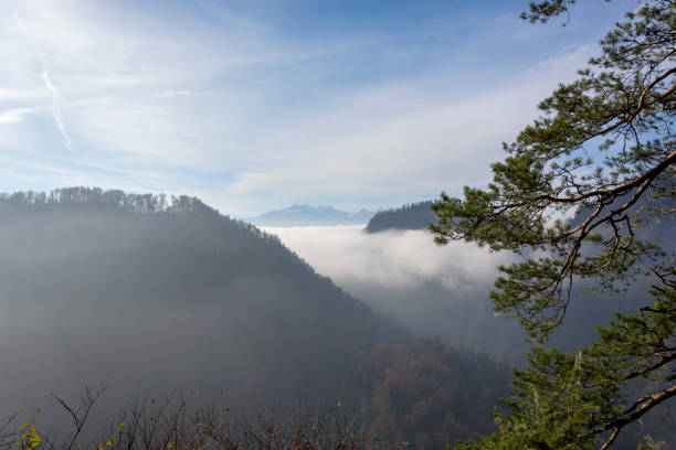 istock Morning mist in Pieniny mountains in Poland 936304920