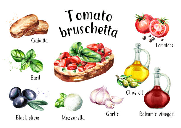 ilustraciones, imágenes clip art, dibujos animados e iconos de stock de ingredientes de bruschetta de tomate. ilustración de dibujado a mano acuarela, aislado sobre fondo blanco - bread cheese bruschetta canape
