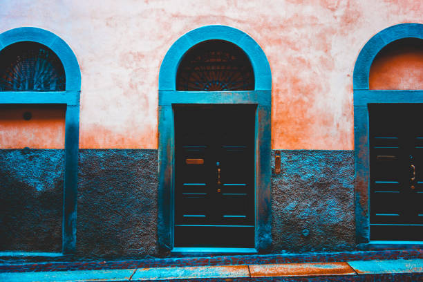 Grenoble, France: Old Wood Door, Bronze Door Pull