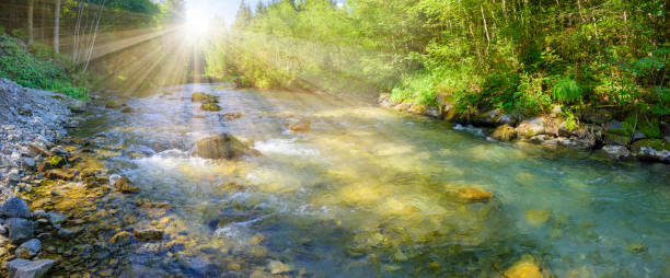 panorama-szene in bayern mit fluss loisach im canyon - water river waterfall stream stock-fotos und bilder