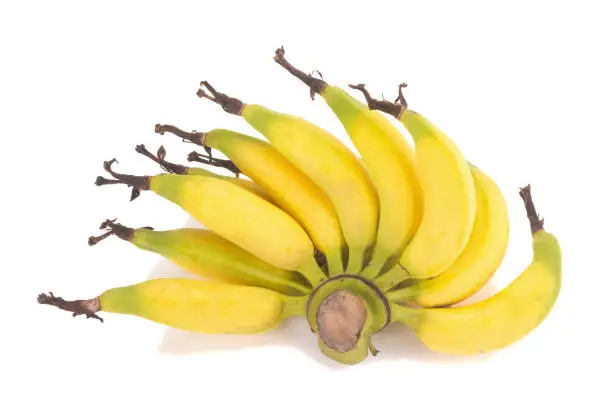 Lebmuernang banana isolated on white background.