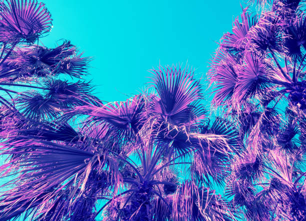 istock Blue purple vintage date palm trees against sky. Natural background 936310148