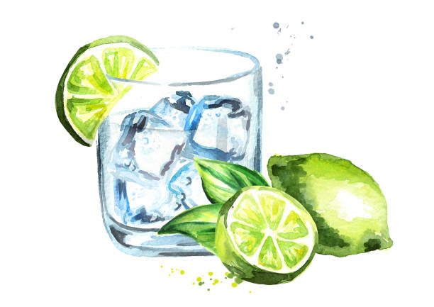 ガラスのジントニック氷とライム。水彩の手描きイラスト、白い背景で隔離 - glass water freshness tonic water点のイラスト素材／クリップアート素材／マンガ素材／アイコン素材