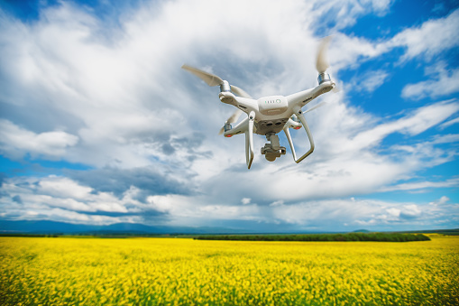 Flying drone quadcopter over the rapeseed field