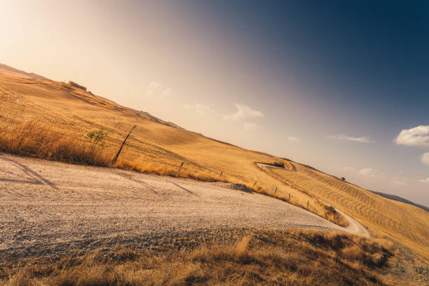 istock Winding road through Tuscany at sunset. Italy. 936320532