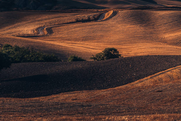 istock Field at sunset. Tuscany. Italy. 936320536