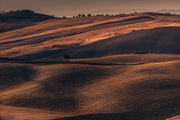 istock Field at sunset. Tuscany. Italy. 936320538