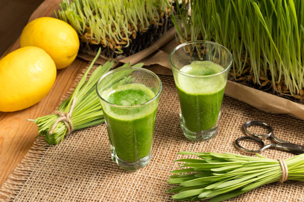 istock Two barley grass shots with freshly grown barley grass 936320792