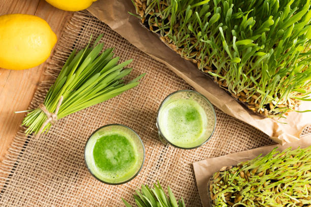 istock Two barley grass shots with freshly grown barley grass 936320796