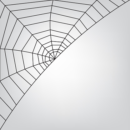 Cobweb Pattern Stock Illustration - Download Image Now - Arachnid ...