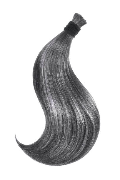 istock Black natural hair on white background 936326464