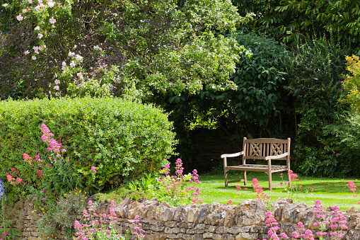 Secluded wooden bench in a summer English garden with cottage flowers, pink rosebush, shrubs, by rocky stone wall .