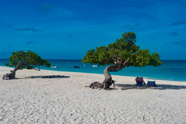 istock color caribbean island 936329934