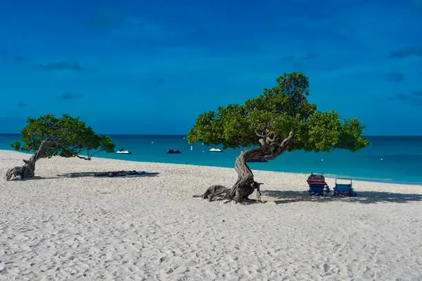 Photo of color caribbean island