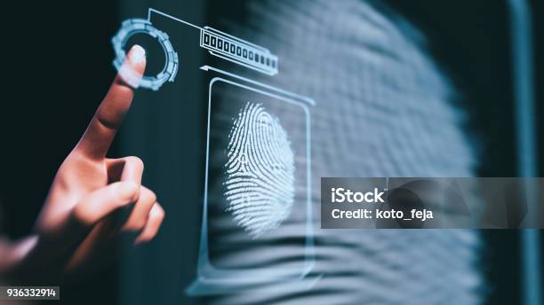 Fingerprint Scan Stock Photo - Download Image Now - Digital Display, Digitally Generated Image, Fingerprint