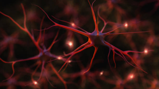 Neuron system Neuron cells system - 3d rendered image of Neuron cell network on black background. Hologram view. axon terminal stock pictures, royalty-free photos & images