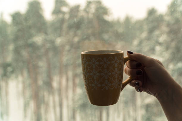 istock Hot coffee in the winter forest. Girl drinking coffee 936334432
