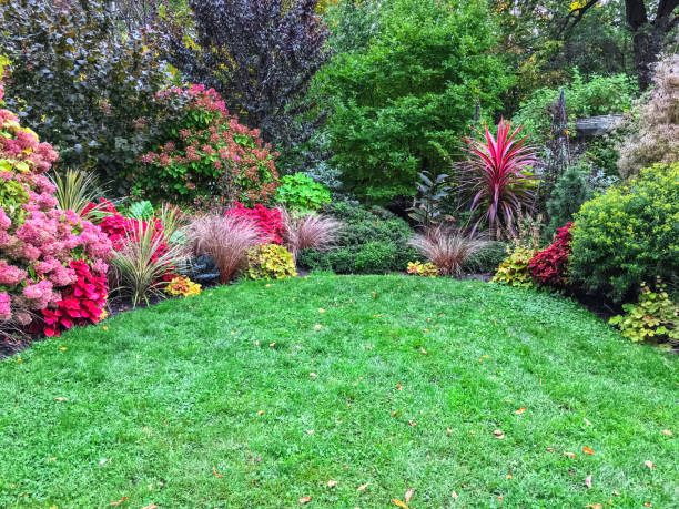 istock Colorful plants surrounding a green lawn 936335702