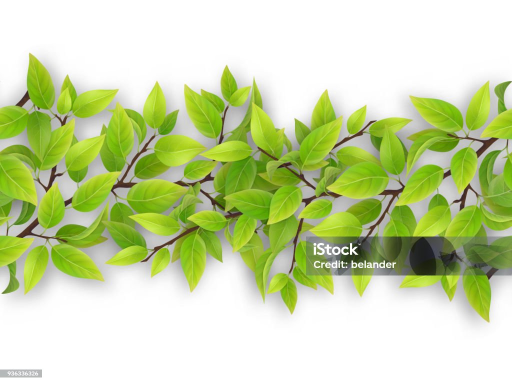 Tree Sapling Border Seamless Border From Tree Branches Stock Illustration - Download Image ...