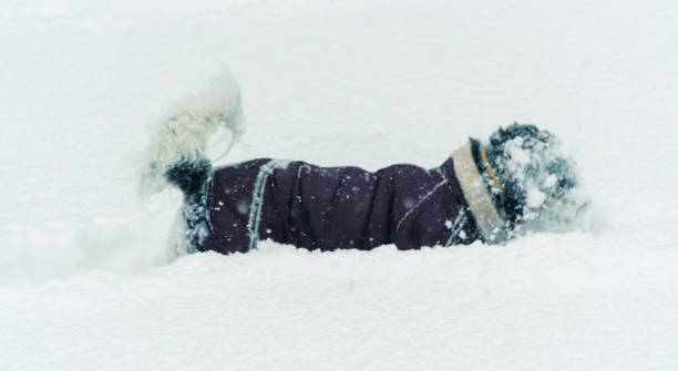 istock Winter. The dog is all in the snow 936336442