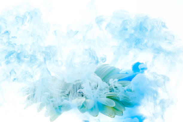istock bright blue flower with splashes isolated on white background 936339140