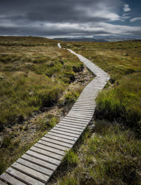 istock Narrow wooden path up a hill in Scotland 936342330