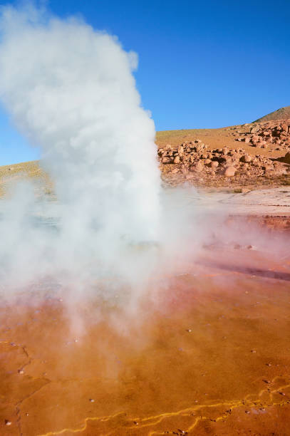 geyser del tatio. - geyser nature south america scenics foto e immagini stock