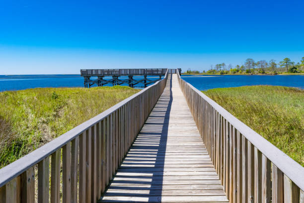 istock Fishing Pier and Boardwalk at Cedar Key, Florida 936349530