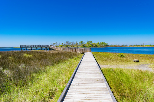 A wooden boardwalk over salt grass on the shoreline at Cedar Key, Florida.
