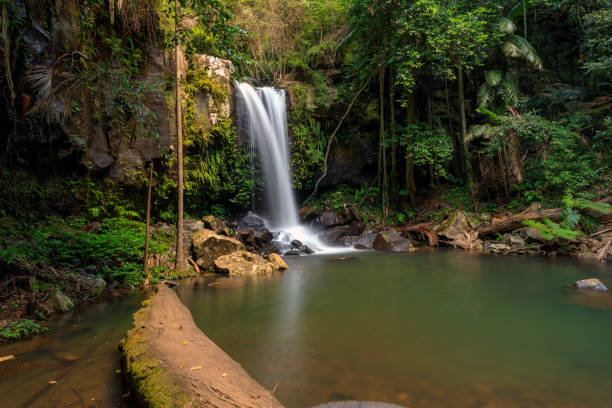 istock Curtis Falls - Tropical Rainforest Waterfall Australia 936353974