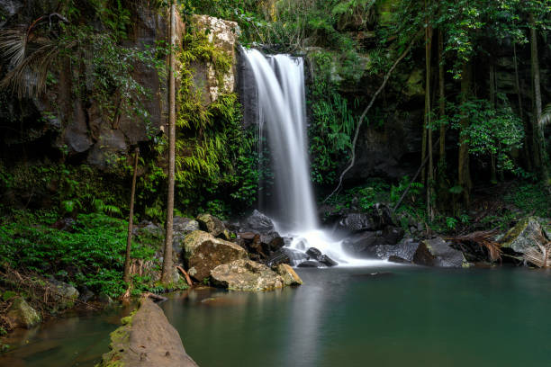 istock Curtis Falls - Tropical Rainforest Waterfall Australia 936353986
