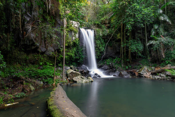 istock Curtis Falls - Tropical Rainforest Waterfall Australia 936354042