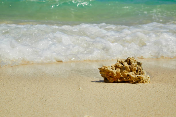istock Wave of the sea on the sand beach 936354140