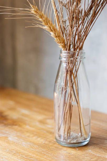 istock flower dry in glass 936357662