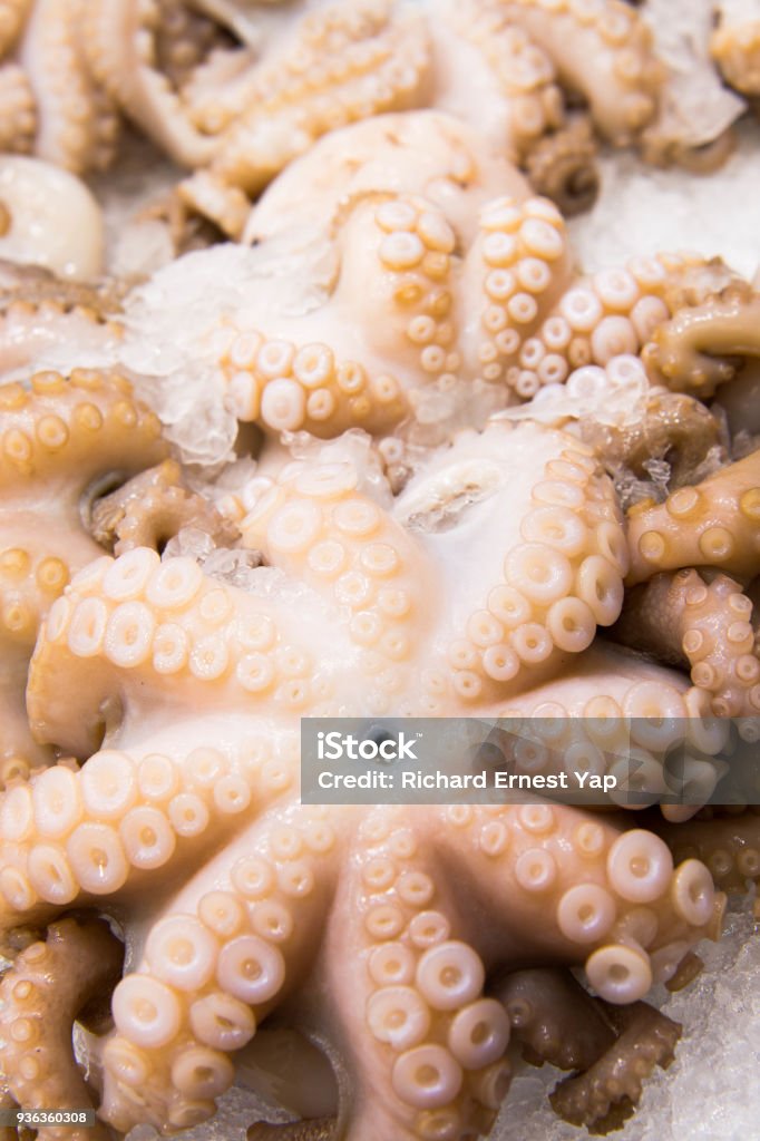 fresh octopus fresh octopus on sale in the market Animal Stock Photo