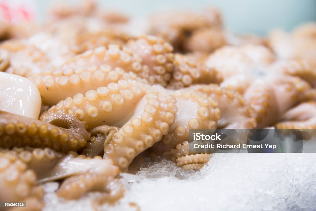 fresh octopus fresh octopus on sale in the market Animal Stock Photo