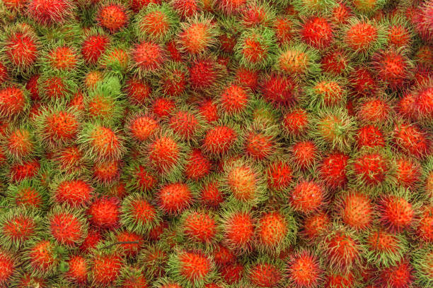 istock Rambutan at the market in Thailand 936362072