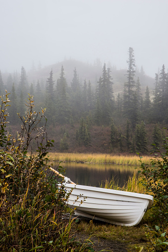 row boat, kettle pond, fog,