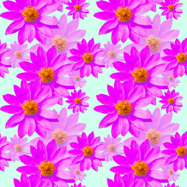 Tulip flower spring background