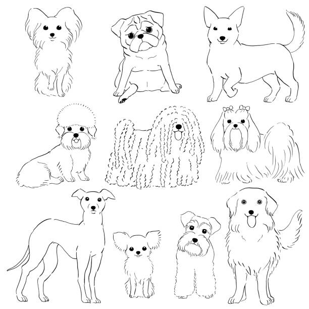 작은 강아지의 그룹 그린 라인 아트 - young animal characters clothing coat stock illustrations