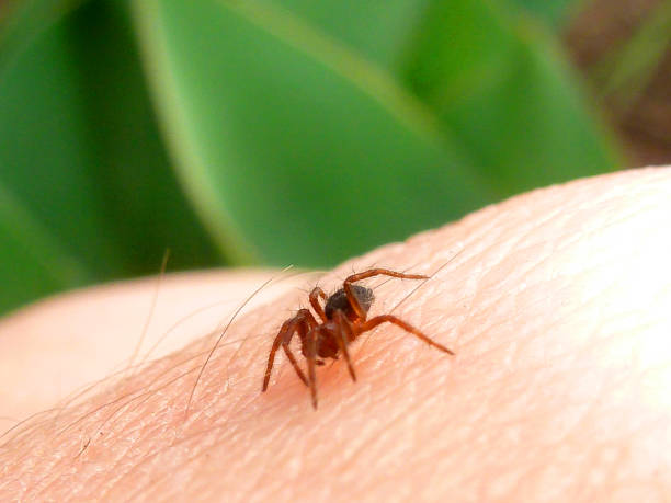 istock Spider bites the hand. The man is afraid 936373038
