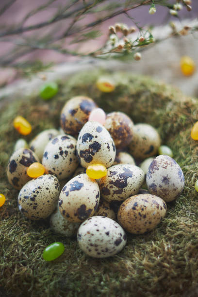 istock Easter arrangement with quail eggs and moss 936375158