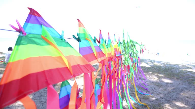 Colorful kite flying