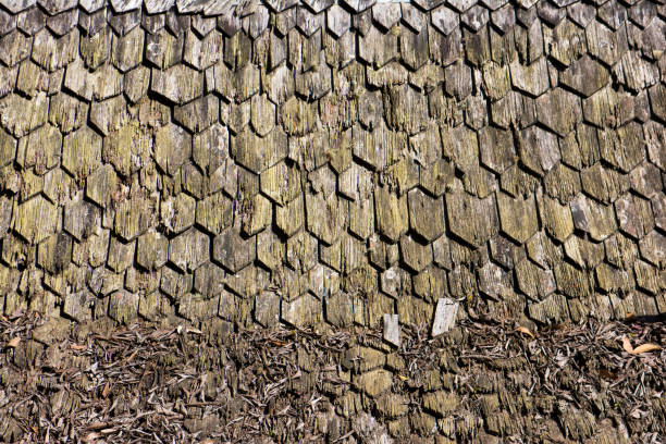 istock Old wood roof background texture 936376584