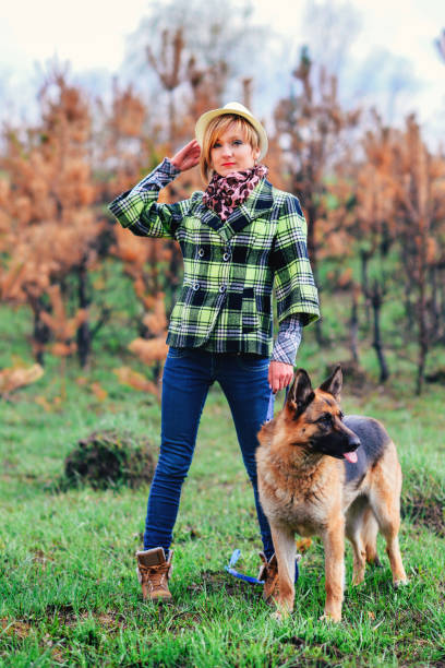 istock German Shepherd playing with pretty girl in the forest 936377946