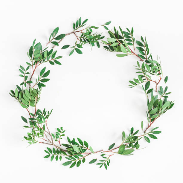istock Pistachio leaves on white background. Flat lay, top view, square 936378248