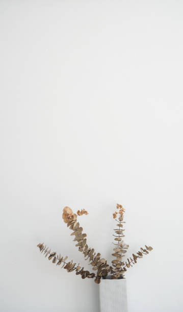 istock Dried eucalyptus branches in vase with white wall 936379086